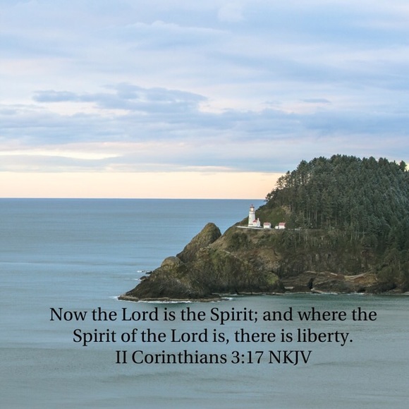 Meet your Posher, Ali - Picture 7 of 7